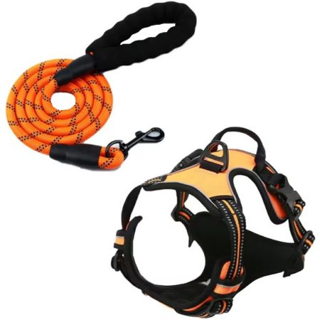 Set Ham și Lesa, pentru Caini, Marimea L, Benzi reflectorizante, Maner control, Material textil, Portocaliu